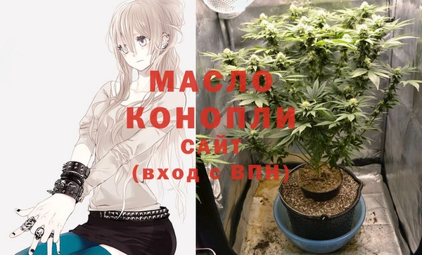 хмурый Каменка