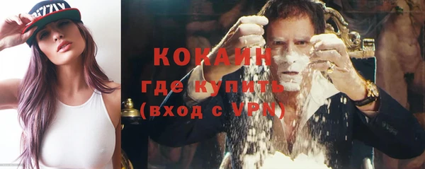 хмурый Каменка