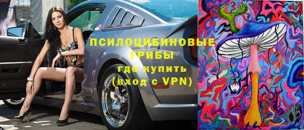 тгк Каменск-Шахтинский