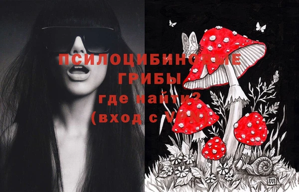 метамфетамин Каменногорск