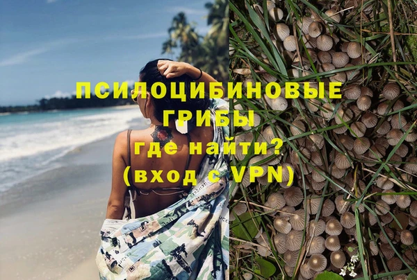 амф Инта