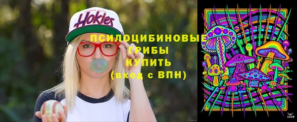 тгк Каменск-Шахтинский